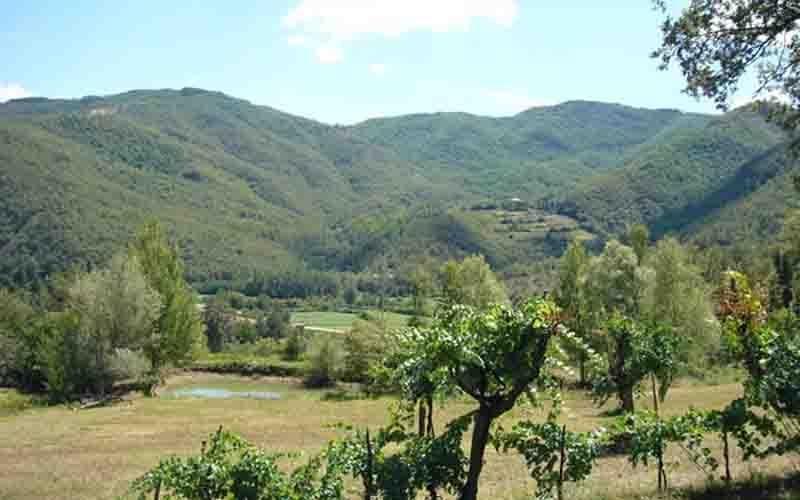Villa Il Corniolo 모라 외부 사진